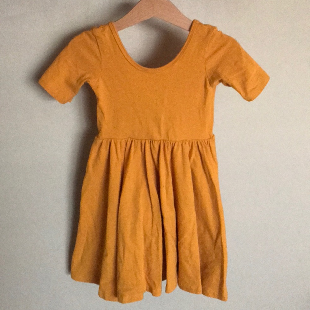 Alice & Ames swing dress